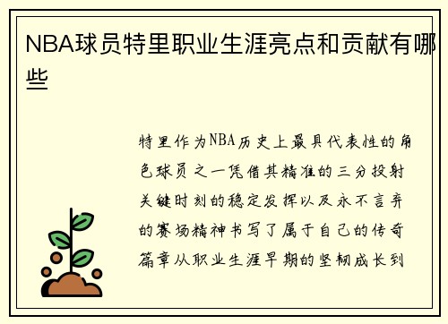 NBA球员特里职业生涯亮点和贡献有哪些